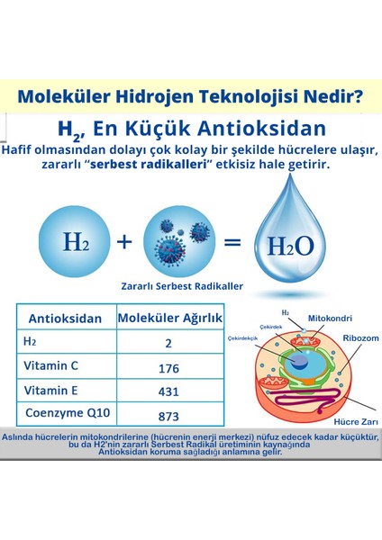 Dolar Kimya Lugol İyot Çözeltisi %2 50 ml Cam Damlalıklı