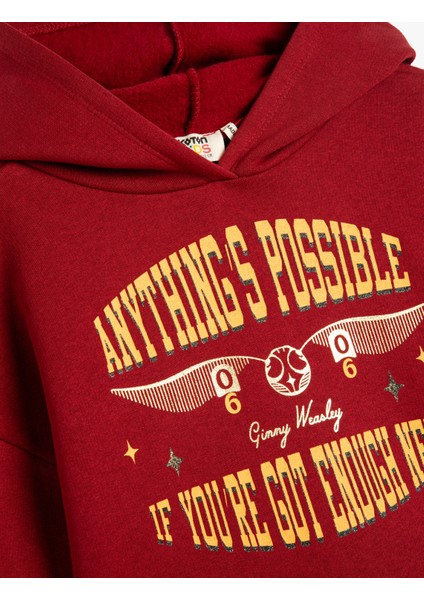 Harry Potter Kapşonlu Sweatshirt Lisanslı Uzun Kollu Şardonlu