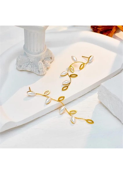 | Çelik Küpe | SNS301516