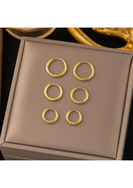 | Çelik Küpe | SNS301353 fiyatları