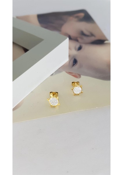 | Çelik Küpe | SNS301548