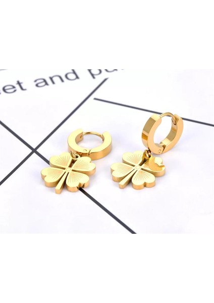 | Çelik Küpe | SNS301378