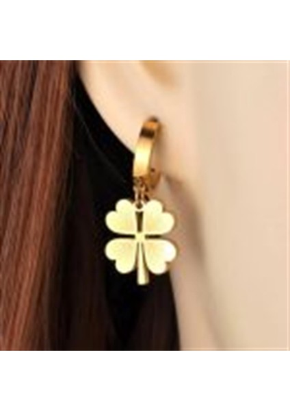 | Çelik Küpe | SNS301378 fiyatları