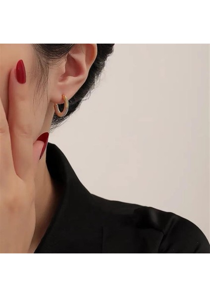 | Çelik Küpe | SNS301801 modelleri