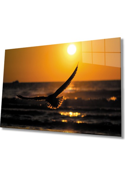 Gün Batımında Kuş Bird At Sunset Table