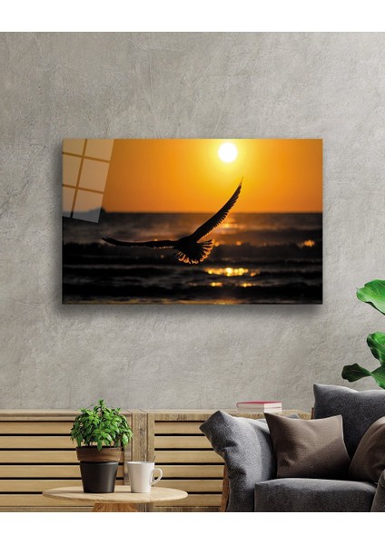 Gün Batımında Kuş Bird At Sunset Table