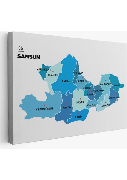 Samsun Ili ve Ilçeler Haritası Dekoratif Kanvas Tablo 1447
