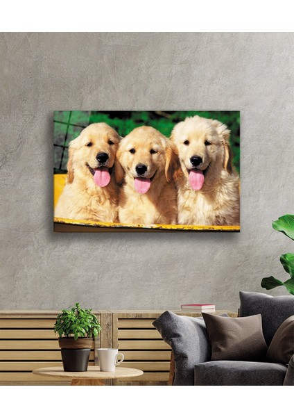 Köpekler Cam Tablo
