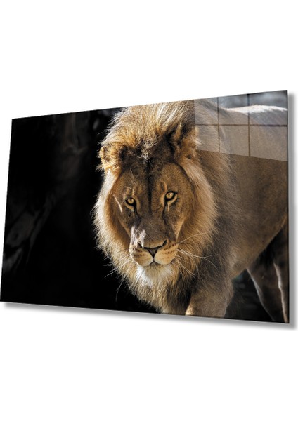 Aslan Cam Tablo