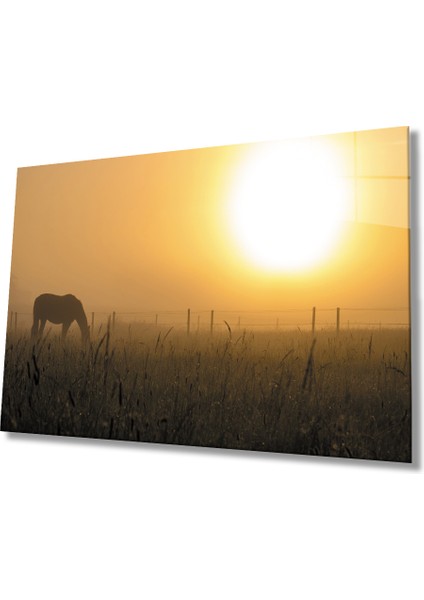Gün Batımı At Cam Tablo Sunset Horse Table