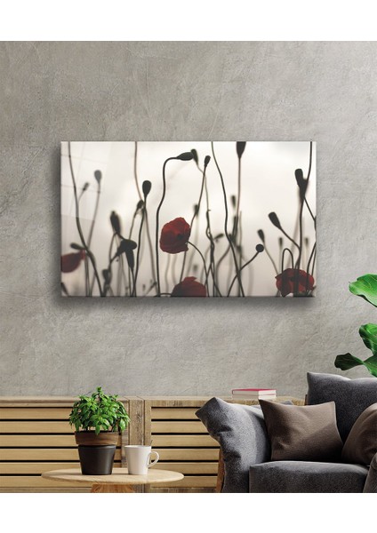 Gelincik Çiçeği Cam Tablo Poppy Flower