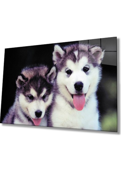 Köpekler Cam Tablo