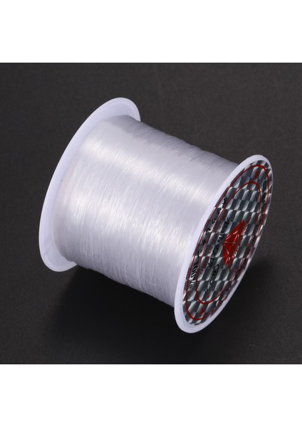 0.2mm Çap Şeffaf Naylon Balık Olta Biriktirme Boncuk Dize (Yurt Dışından)