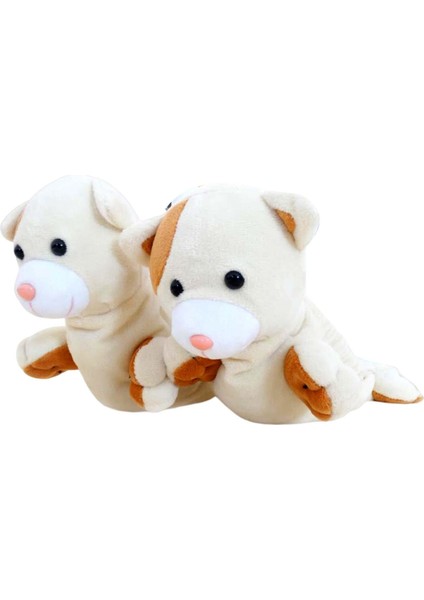 Patinaj Korumaları, (Yurt Dışından) fiyatları