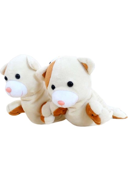 Patinaj Korumaları, (Yurt Dışından) modelleri