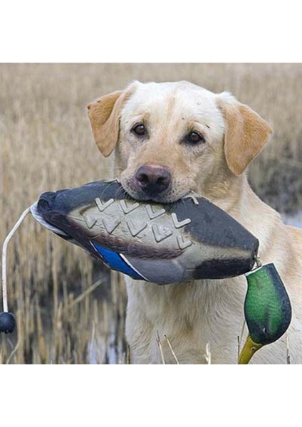 Yeşilbaş Ördek Yemi Açık Korkuluk Av Tuzağı Yürüyüş Köpek Çiğneme Için Çok Renkli (Yurt Dışından) modelleri