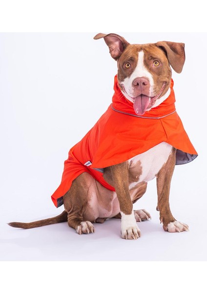 Colombia Turuncu Su Geçirmez Orta-Büyük Irk Köpek Pratik Yağmurluk