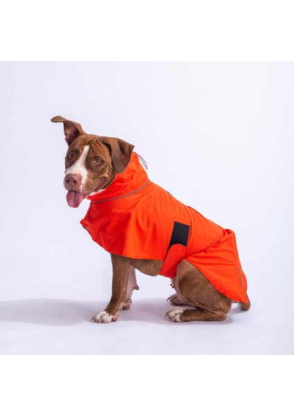 Colombia Turuncu Su Geçirmez Orta-Büyük Irk Köpek Pratik Yağmurluk modelleri