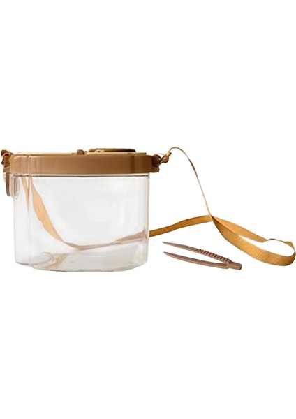 Net Şeffaf Keşif Araçları G Kutusu (Yurt Dışından)