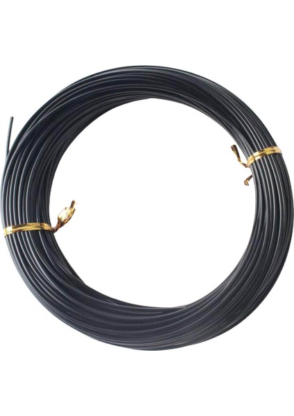 1 Monofilament Mono Naylon Lider Hattı Balonlar Için 30 M Çap 1.8 mm 370LB (Yurt Dışından)