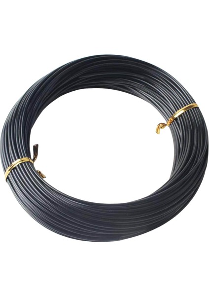1 Monofilament Mono Naylon Lider Hattı Balonlar Için 30 M Çap 1.8 mm 370LB (Yurt Dışından)