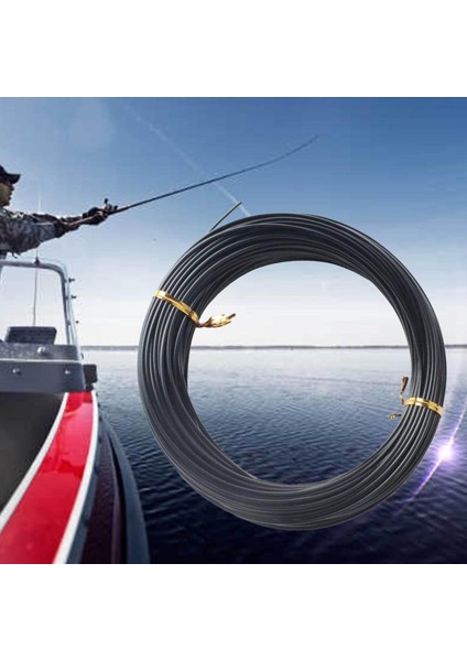 1 Monofilament Mono Naylon Lider Hattı Balonlar Için 30 M Çap 1.8 mm 370LB (Yurt Dışından)