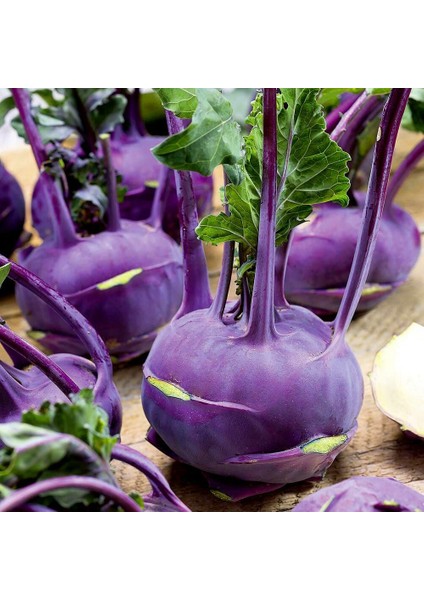 Mor Kohlrabi Tohumu Geleneksel Mor Alabaş Purple Vienna