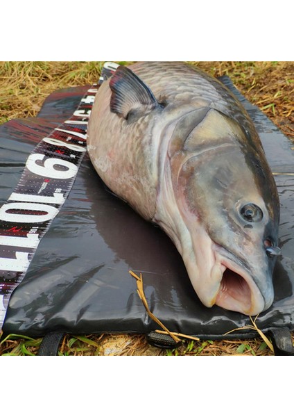 Balıkçılığı Alma Matı Balık Tutma Aleti 97X47CM (Yurt Dışından) fırsatları