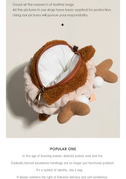 Zara Hakiki Çanta Kadın Yüksek Sense Niche Peluş Çanta Cep Telefonu Çantası Messenger Çanta (Yurt Dışından) fiyatları