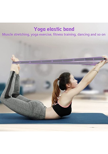 Direnç Latin Bantları, 9 Döngü Direnç Egzersiz Bantları, Latin Egzersiz Bandı, Yoga Pilatus Için Elastik Egzersiz Bandı (Yurt Dışından) fırsatları