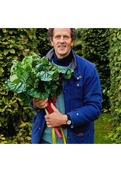 Kırmızı Saplı Pazı Tohumu Red Chard Beta Vulgaris fırsatları