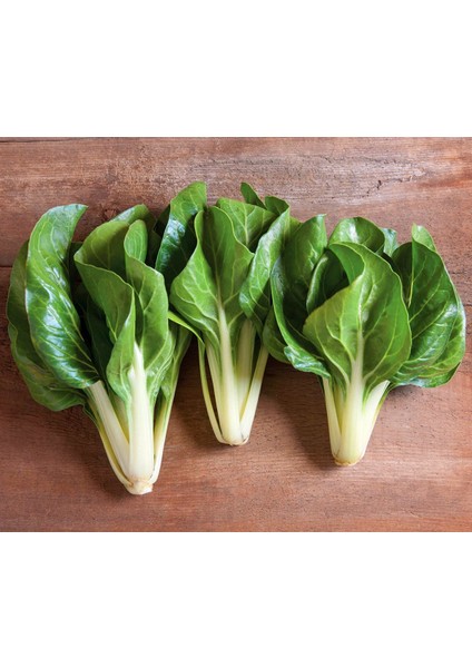 Bodur Pazı Tohumu Barese Swiss Chard Beta Vulgaris