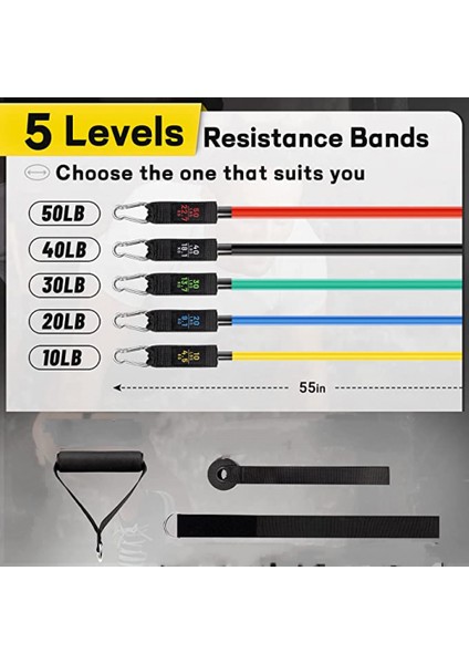 Direnç Bantları, Direnç Bandı Seti, Egzersiz Bantları, Bay ve Bayan Egzersiz Bantları, Kapı Ankrajlı Egzersiz Bantları, Tutma Kolları (Yurt Dışından) fiyatları