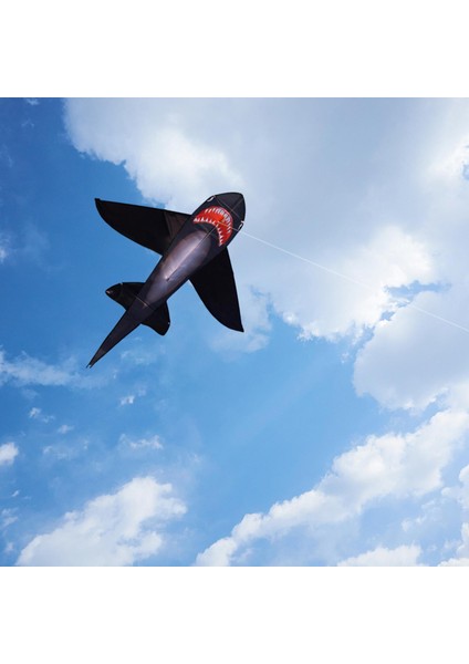 Dayanıklı Iğı Uçurtma Açık Oyuncaklar Erkekler ve Kı Için Dev (Yurt Dışından) modelleri