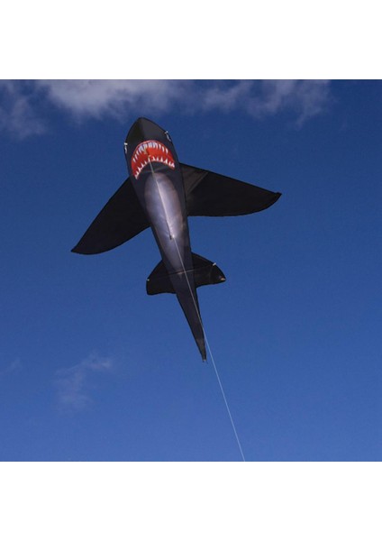 Dayanıklı Iğı Uçurtma Açık Oyuncaklar Erkekler ve Kı Için Dev (Yurt Dışından) fırsatları