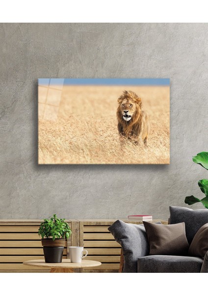 Aslan Cam Tablo