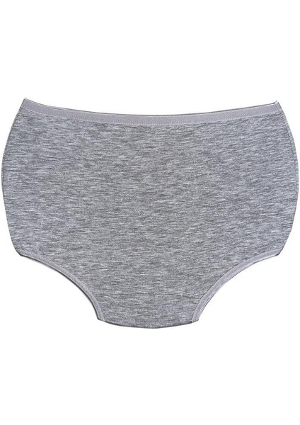 (5 adet) Compact Penye Pamuk Elastan Yüksekbel Klasik İz Yapmaz Slip Boxer Kadın Külot 2058