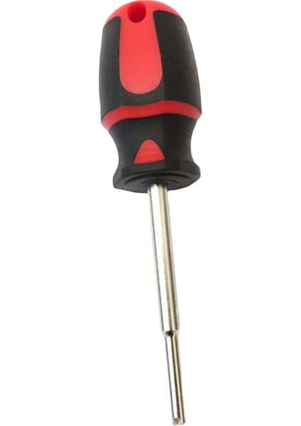 Için Şiş Hortumu Için Tüplü Dalış Ücü Temizleme I (Yurt Dışından) fiyatları