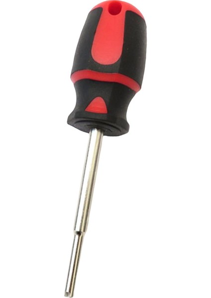 Tüplü Dalış Çekirdek Ücü Regülat Ekipman I (Yurt Dışından)