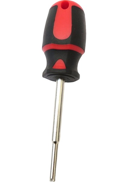 Tüplü Dalış Çekirdek Ücü Regülat Ekipman I (Yurt Dışından) indirimleri