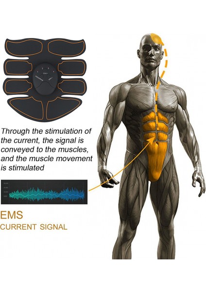 Lkrikli K Imülörü M Klouz Klç Klç Ğımni Krın Imülörü Por Vücu Zyıflm Mjı (Yurt Dışından) indirimleri