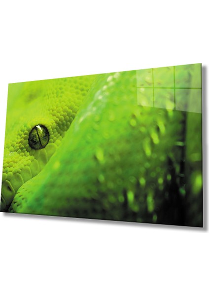 Yeşil Yılan Cam Tablo Green Snake