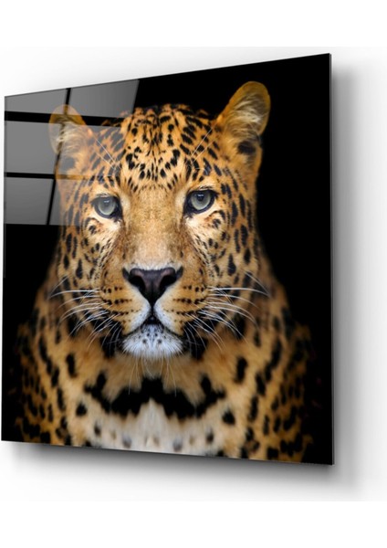 Leopar Cam Tablo
