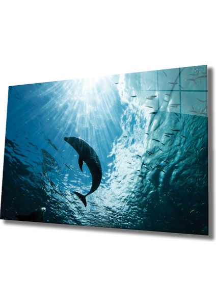 Yunus Balığı Cam Tablo Dolphin