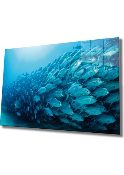 Balıklar Cam Tablo Fishes