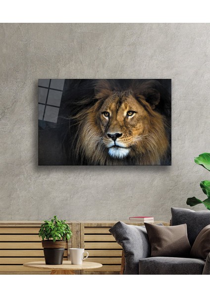 Aslan Cam Tablo