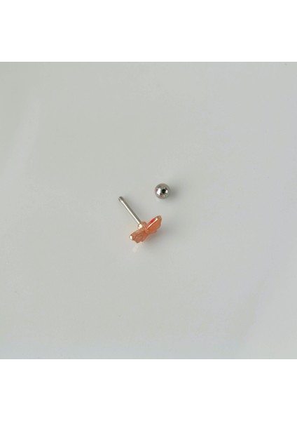 Rose Kelebekli Çelik Piercing Helix Kıkırdak Conch Lob