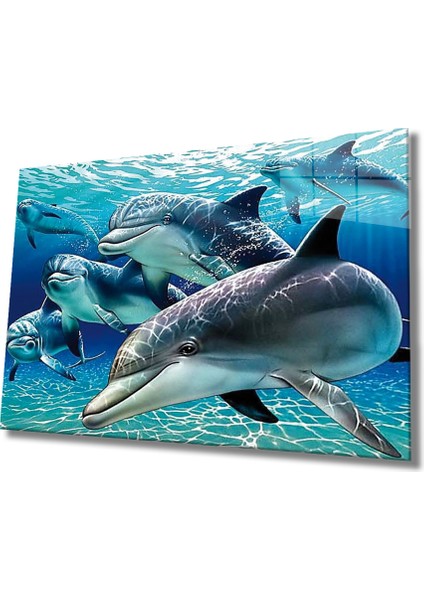 Yunus Balığı Cam Tablo Dolphin