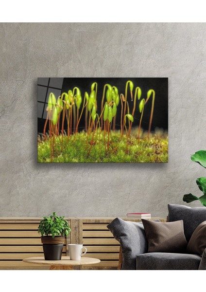 Yeşil Bitkiler Cam Tablo Green Plants
