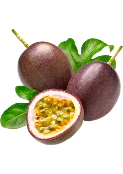 10 Adet Tohum Organik Tropikal Tutku Meyvesi Tohumu Saksı Toprak